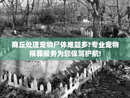 商丘处理宠物尸体难题多?专业宠物殡葬服务为您保驾护航! 商丘处理宠物尸体难题多?专业宠物殡葬服务为您保驾护航!