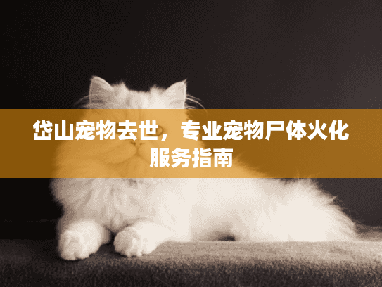 岱山宠物去世，专业宠物尸体火化服务指南