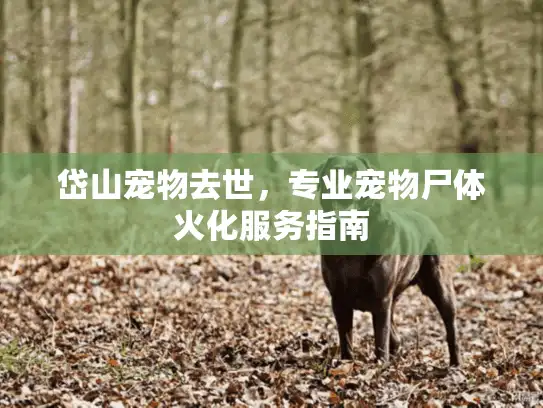 岱山宠物去世，专业宠物尸体火化服务指南