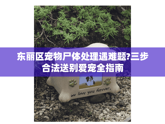 东丽区宠物尸体处理遇难题?三步合法送别爱宠全指南 东丽区宠物尸体处理遇难题?三步合法送别爱宠全指南