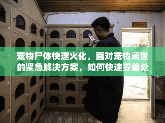 宠物尸体快速火化，面对宠物离世的紧急解决方案，如何快速妥善处理？