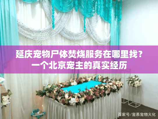 延庆宠物尸体焚烧服务在哪里找？一个北京宠主的真实经历