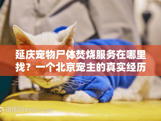 延庆宠物尸体焚烧服务在哪里找？一个北京宠主的真实经历