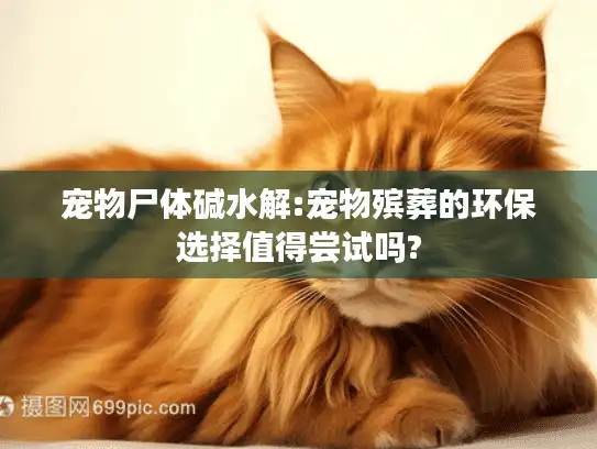 宠物尸体碱水解:宠物殡葬的环保选择值得尝试吗?