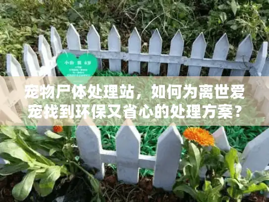 宠物尸体处理站，如何为离世爱宠找到环保又省心的处理方案？