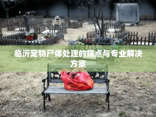 临沂宠物尸体处理的痛点与专业解决方案 临沂宠物尸体处理的痛点与专业解决方案