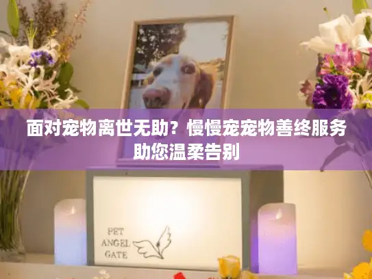 面对宠物离世无助？慢慢宠宠物善终服务助您温柔告别