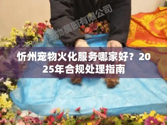 忻州宠物火化服务哪家好？2025年合规处理指南