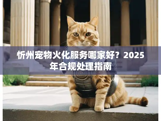 忻州宠物火化服务哪家好？2025年合规处理指南