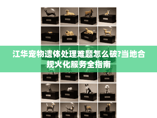 江华宠物遗体处理难题怎么破?当地合规火化服务全指南