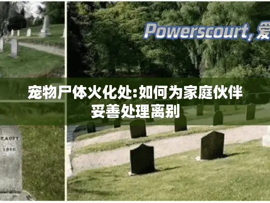 宠物尸体火化处:如何为家庭伙伴妥善处理离别
