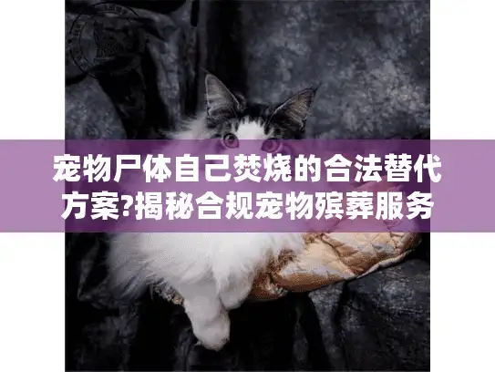 宠物尸体自己焚烧的合法替代方案?揭秘合规宠物殡葬服务 宠物尸体自己焚烧的合法替代方案?揭秘合规宠物殡葬服务