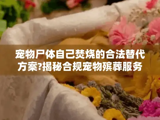 宠物尸体自己焚烧的合法替代方案?揭秘合规宠物殡葬服务 宠物尸体自己焚烧的合法替代方案?揭秘合规宠物殡葬服务