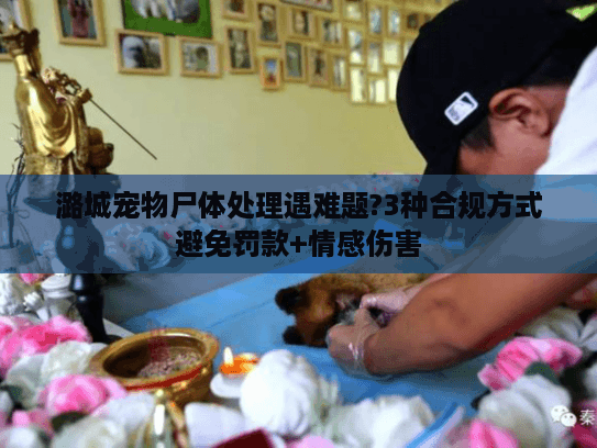 潞城宠物尸体处理遇难题?3种合规方式避免罚款+情感伤害