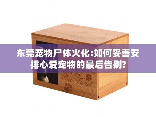东莞宠物尸体火化:如何妥善安排心爱宠物的最后告别?