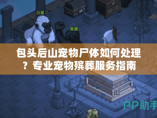 包头后山宠物尸体如何处理？专业宠物殡葬服务指南