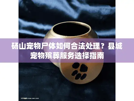 砀山宠物尸体如何合法处理？县城宠物殡葬服务选择指南