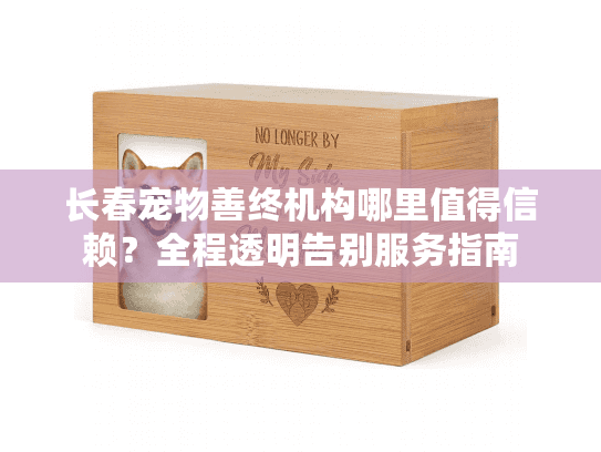 长春宠物善终机构哪里值得信赖？全程透明告别服务指南