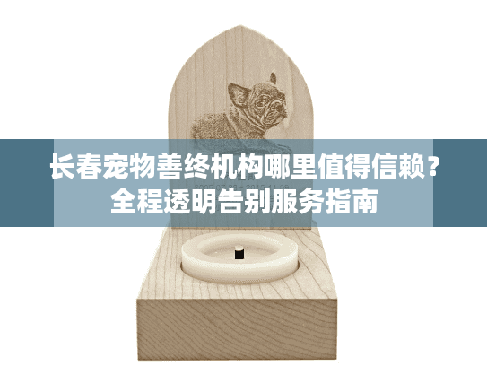 长春宠物善终机构哪里值得信赖？全程透明告别服务指南