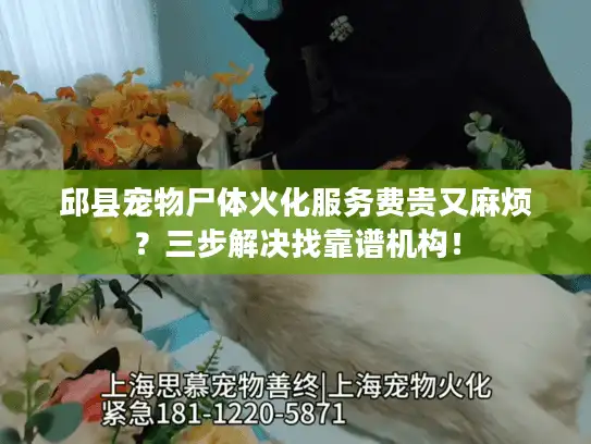 邱县宠物尸体火化服务费贵又麻烦？三步解决找靠谱机构！
