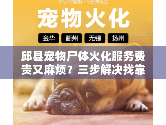 邱县宠物尸体火化服务费贵又麻烦？三步解决找靠谱机构！