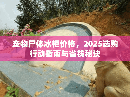宠物尸体冰柜价格，2025选购行动指南与省钱秘诀