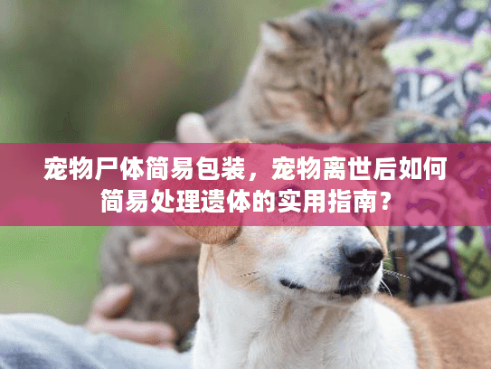 宠物尸体简易包装，宠物离世后如何简易处理遗体的实用指南？