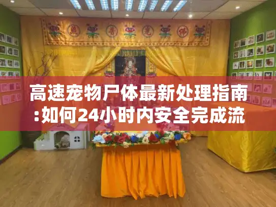 高速宠物尸体最新处理指南:如何24小时内安全完成流程？