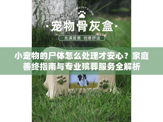 小宠物的尸体怎么处理才安心?家庭善终指南与专业殡葬服务全解析 小宠物的尸体怎么处理才安心?家庭善终指南与专业殡葬服务全解析