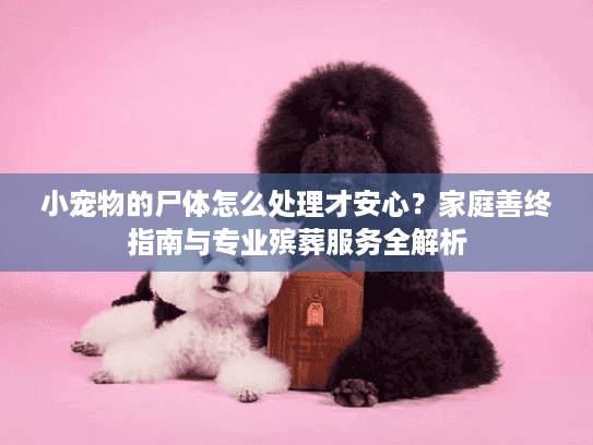 小宠物的尸体怎么处理才安心?家庭善终指南与专业殡葬服务全解析 小宠物的尸体怎么处理才安心?家庭善终指南与专业殡葬服务全解析