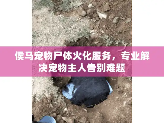侯马宠物尸体火化服务，专业解决宠物主人告别难题