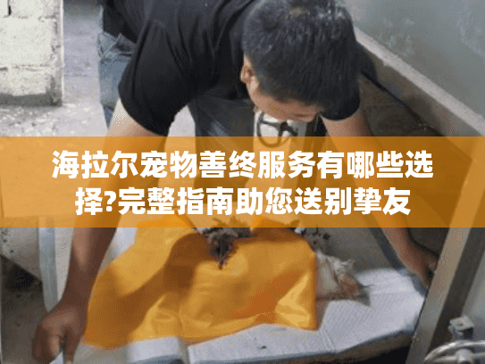 海拉尔宠物善终服务有哪些选择?完整指南助您送别挚友