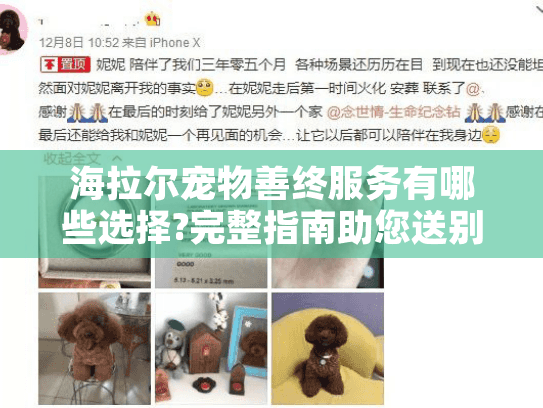 海拉尔宠物善终服务有哪些选择?完整指南助您送别挚友