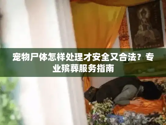 宠物尸体怎样处理才安全又合法?专业殡葬服务指南 宠物尸体怎样处理才安全又合法?专业殡葬服务指南
