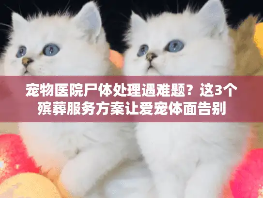 宠物医院尸体处理遇难题?这3个殡葬服务方案让爱宠体面告别 宠物医院尸体处理遇难题?这3个殡葬服务方案让爱宠体面告别