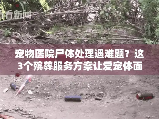 宠物医院尸体处理遇难题?这3个殡葬服务方案让爱宠体面告别 宠物医院尸体处理遇难题?这3个殡葬服务方案让爱宠体面告别