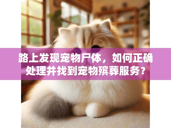 路上发现宠物尸体，如何正确处理并找到宠物殡葬服务？