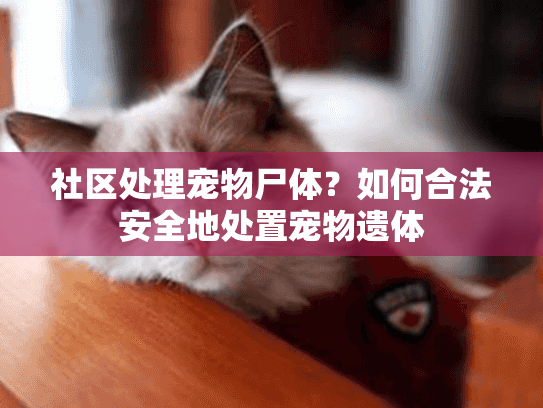社区处理宠物尸体？如何合法安全地处置宠物遗体