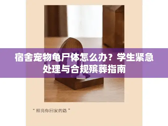 宿舍宠物龟尸体怎么办？学生紧急处理与合规殡葬指南