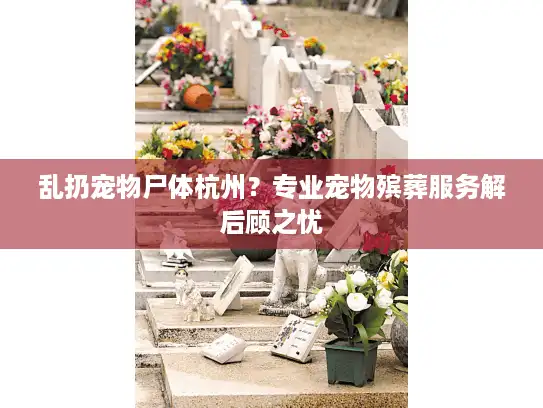 乱扔宠物尸体杭州？专业宠物殡葬服务解后顾之忧
