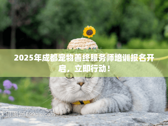 2025年成都宠物善终服务师培训报名开启，立即行动！
