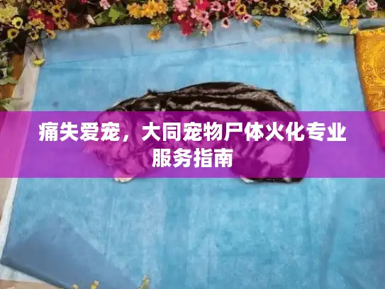痛失爱宠,大同宠物尸体火化专业服务指南 痛失爱宠,大同宠物尸体火化专业服务指南