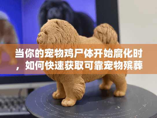 当你的宠物鸡尸体开始腐化时,如何快速获取可靠宠物殡葬服务? 当你的宠物鸡尸体开始腐化时,如何快速获取可靠宠物殡葬服务?