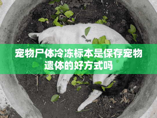 宠物尸体冷冻标本是保存宠物遗体的好方式吗