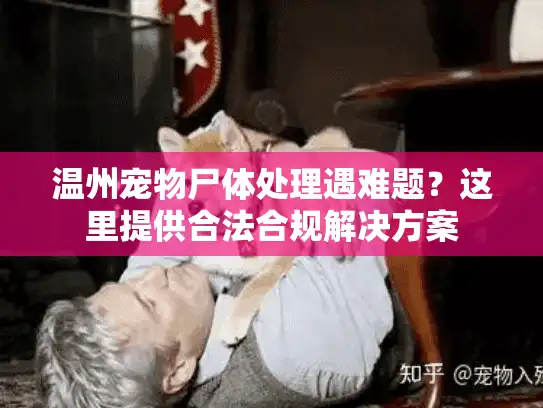 温州宠物尸体处理遇难题？这里提供合法合规解决方案