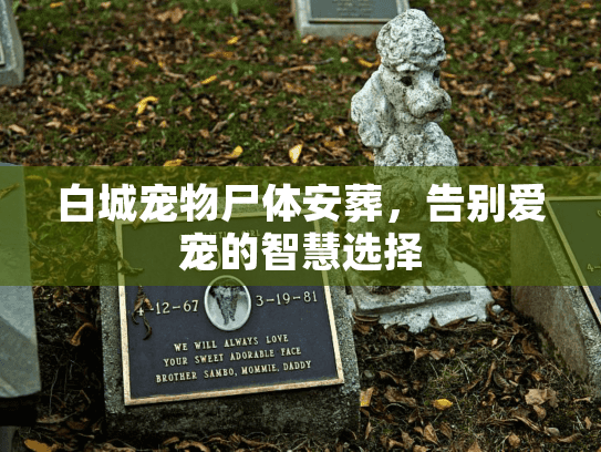 白城宠物尸体安葬，告别爱宠的智慧选择