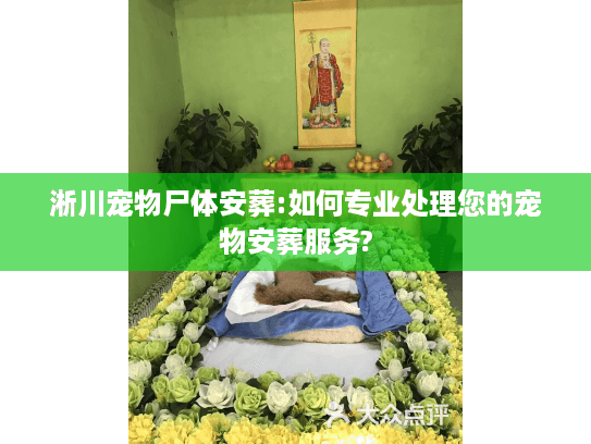 淅川宠物尸体安葬:如何专业处理您的宠物安葬服务?