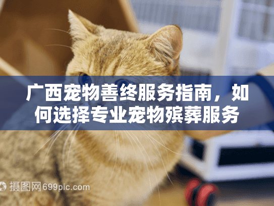 广西宠物善终服务指南，如何选择专业宠物殡葬服务