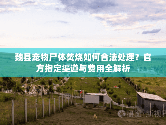 魏县宠物尸体焚烧如何合法处理？官方指定渠道与费用全解析