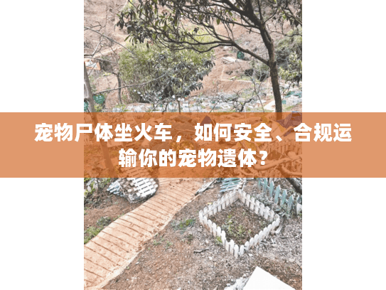 宠物尸体坐火车，如何安全、合规运输你的宠物遗体？